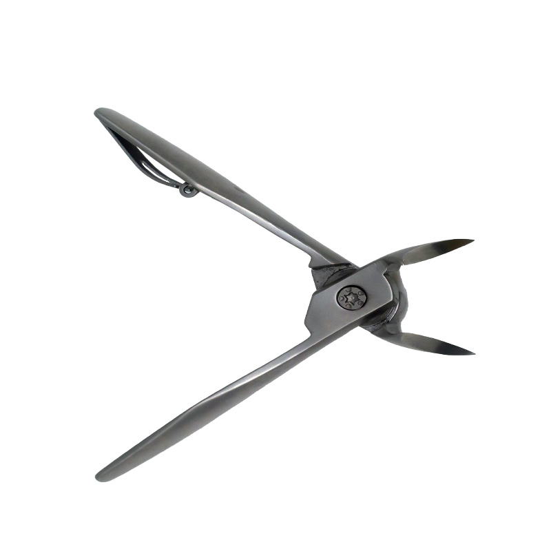 Բարձրորակ մատնանշված եղունգների ֆայլ